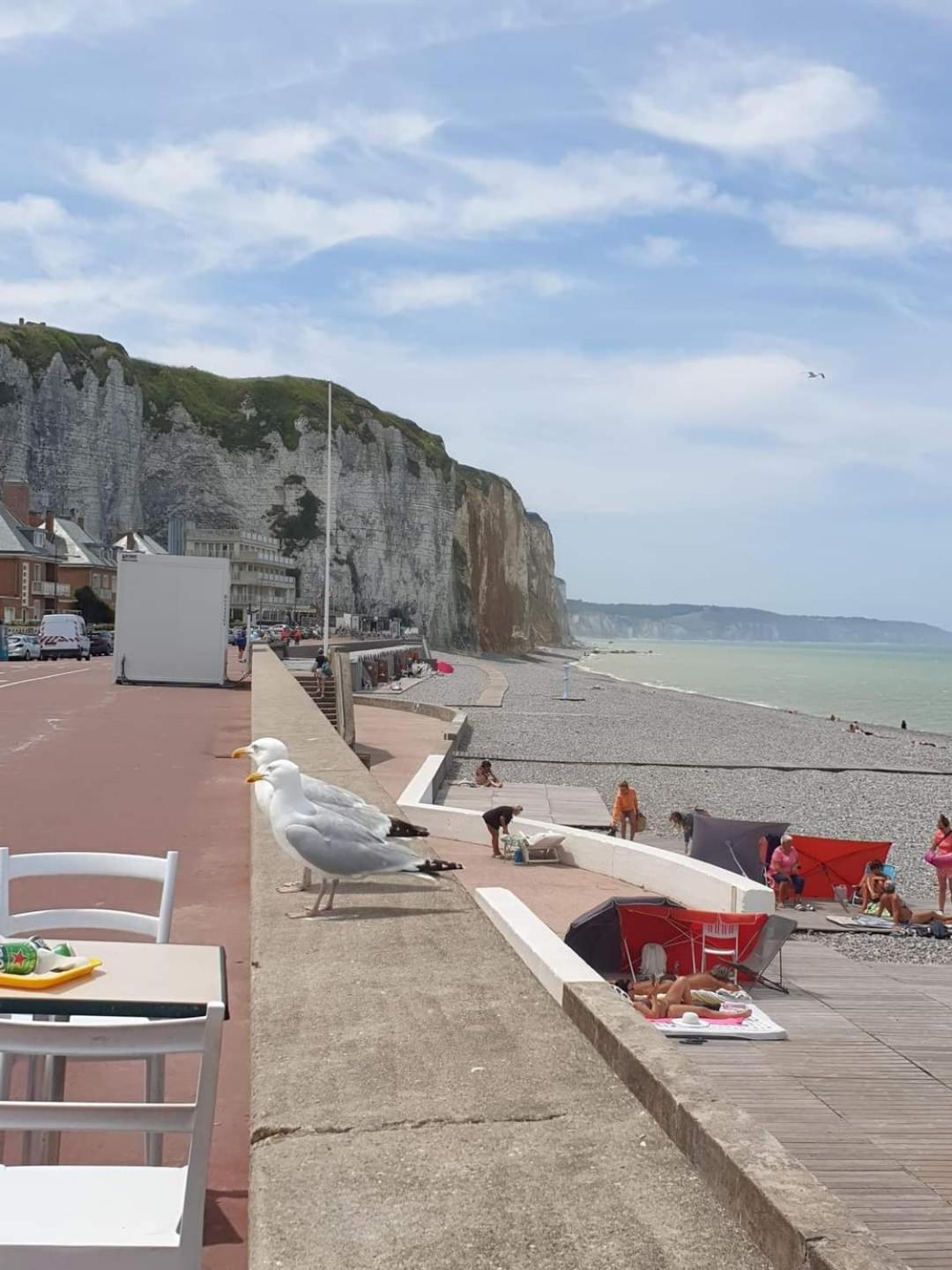 Appartement Renove Tout Confort Mers-les-Bains Kültér fotó